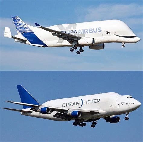 Airbus Beluga XL or Boeing Dreamlifter? ️ ? | Boeing dreamlifter ...