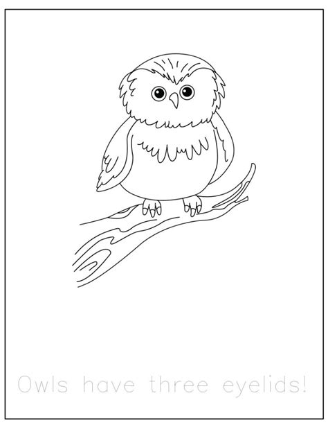 {FREE} Forest Animals Coloring Pages with Traceable Fun Facts ...