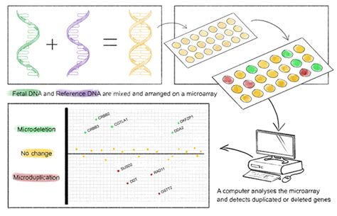 Genetic tests that give a diagnosis (a definite yes/no answer ...