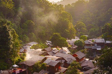 Join In Hidden Jungle Trek Watching Gibbon In Mae Kampong in Chiang mai ...