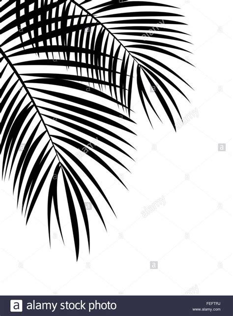 Palm Leaf Vector Background Illustration Stock Photo | Leaves vector ...