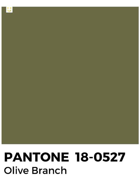 PANTONE - Olive Branch | Pantone, Pantone green shades, Color names chart