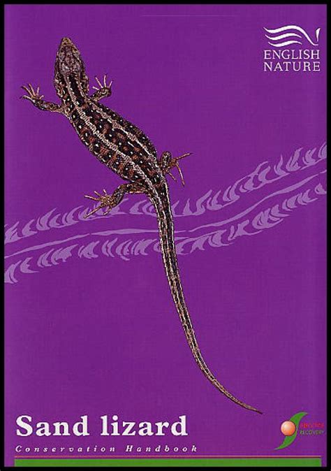 Sand Lizard Conservation Handbook | NHBS Academic & Professional Books