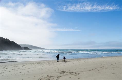 30 Amazing Things to Do in Northern California