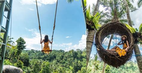 Bali Swing - Mega Playground In Ubud With Giant Swings That Go Up To ...