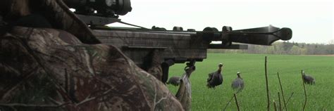 Turkey calling and Decoy placement - Canada In The Rough