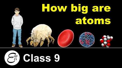 How Big are Atoms (Size Comparison) || Atoms and Molecules - 5 || in ...