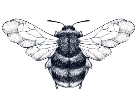 Bee Tattoo Stock Illustrations – 2,655 Bee Tattoo Stock Illustrations ...