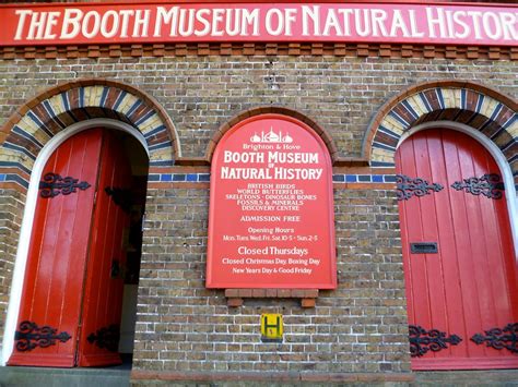 Booth Museum | Booth Museum of Natural History Brighton | Kevin Bentman ...