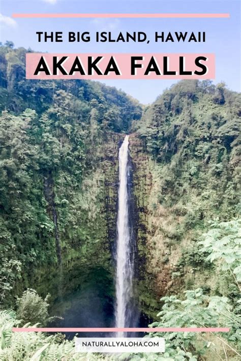 Akaka Falls, Big Island of Hawaii - Naturally Aloha