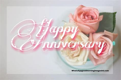 21 Happy Anniversary Wishes for friends |Happy Anniversary My Love|