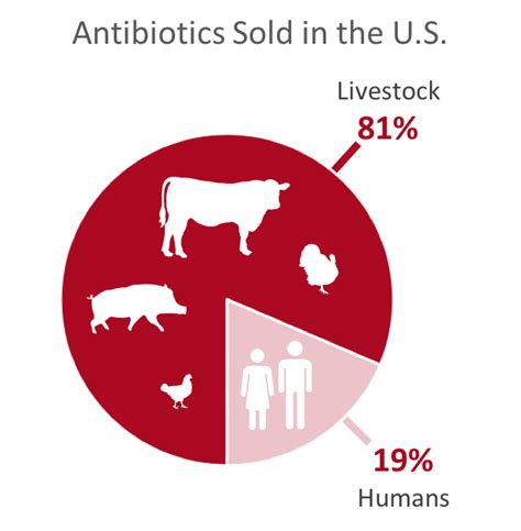 Antibiotics: excessive use in livestock and why it is a problem - Feed ...