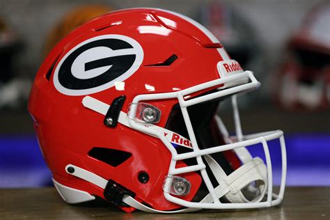 Georgia Bulldogs Riddell SpeedFlex Helmet – Green Gridiron, Inc.