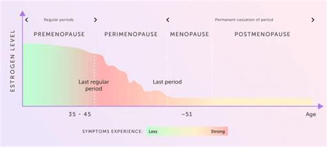 FSH Levels During Menopause: Charting the Hormonal Transition