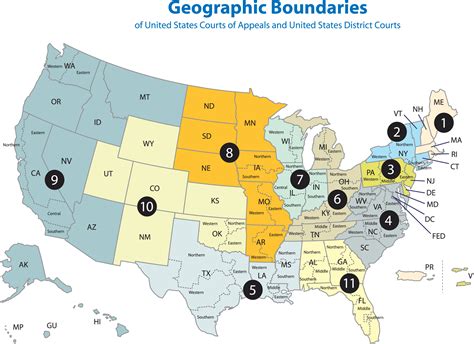 Federal Court Search – Universal Background Screening