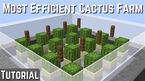 Cactus Farm Design Minecraft