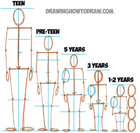 Learn How to Draw Human Figures in Correct Proportions by Memorizing ...