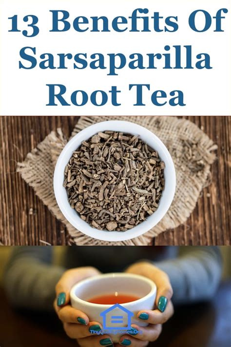 13 Health Benefits Of Sarsaparilla Root Tea