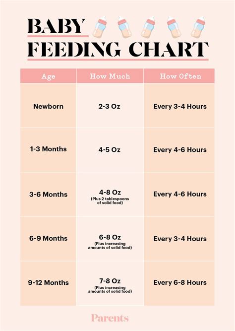 Baby Feeding Chart: How Much and When to Feed Infants the First Year ...