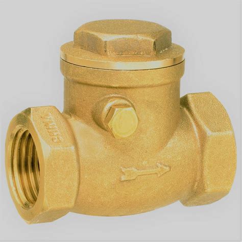 1' Inch Brass Swing IPS Check Valve NPT | Grelly USA