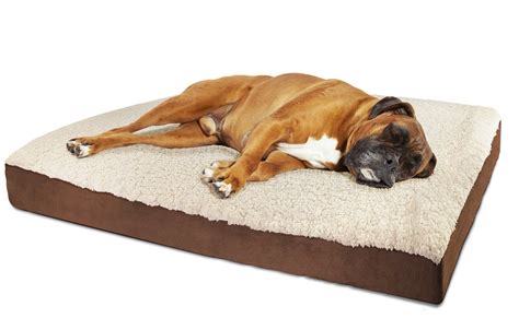 5 Best Orthopedic Dog Bed Reviews With Videos