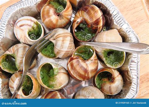 Snails As Gourmet Food Royalty Free Stock Photo - Image: 21959165