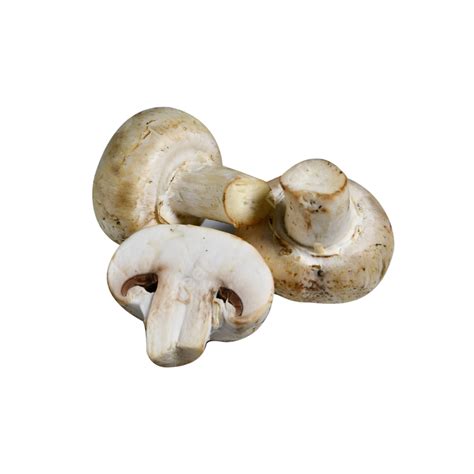 Agaricus Bisporus, Round, Strain, White PNG Transparent Image and ...