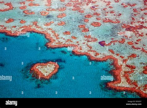 Aerial view of heart-shaped Heart Reef, part of the Great Barrier Reef ...