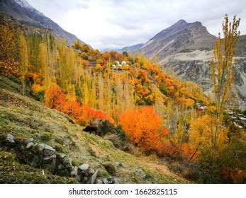 Autumn Landscape Hunza Valley Pakistan Stock Photo (Edit Now) 1662825115