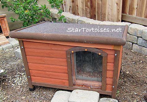 Outdoor Hides & Heated Houses for Tortoises | Russian tortoise ...