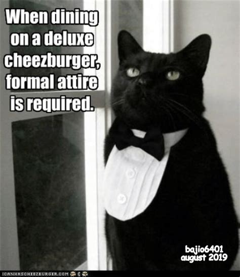 Lolcats - tuxedo - LOL at Funny Cat Memes - Funny cat pictures with ...