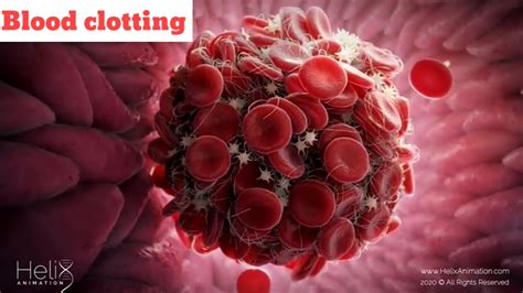 English : Blood clotting animation by science official ltd. for medical ...