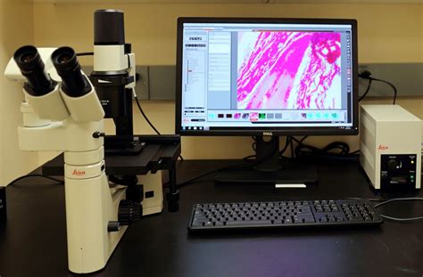 Inverted Fluorescence Microscope | West Campus Imaging Core