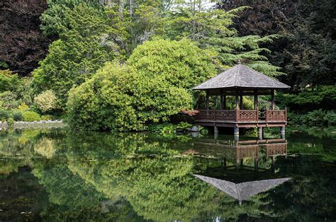 Oriental Garden 2 Photograph by Peter De Gannes - Fine Art America