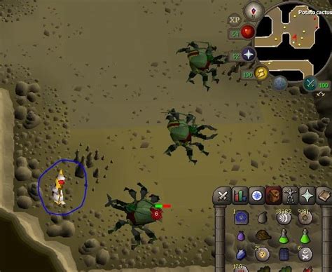 Kalphite OSRS Location Guide [2022]: The Best Guide! - Rune Fanatics