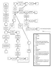 Topic 7 - Gene Expression Concept Map 2 .pdf - deliver amino acids to ...