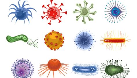 What’s the difference between bacteria and viruses? - Institute for ...