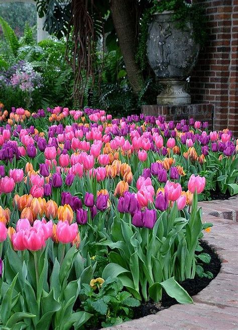 Beauty Tulips Arrangement for Home Garden 15 | Tulips garden, Spring ...