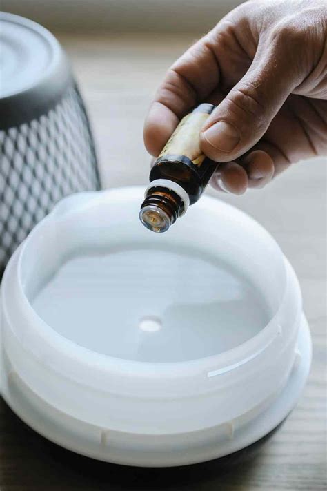 How to Use Essential Oils In A Humidifier? (Video Tutorial + FAQs for ...