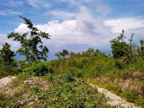 seaview lot near highway and beaches in tabogon cebu philippines 2,929 sqm