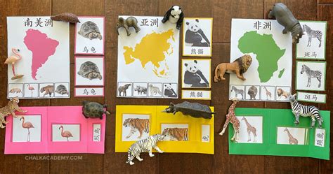 Best Montessori Animals and Continents Activity for Kids