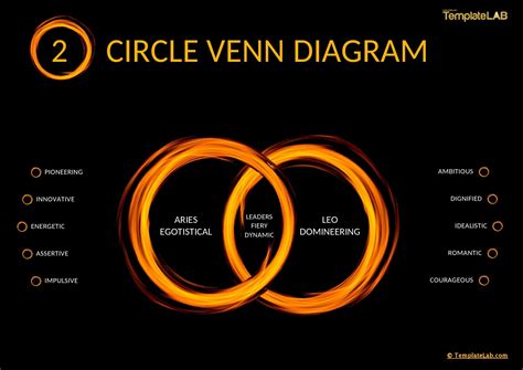 18 Free Venn Diagram Templates (Word, PDF, PowerPoint)