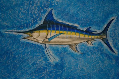 Marlin painting I did recently (got no love in r/art) : r/Fishing