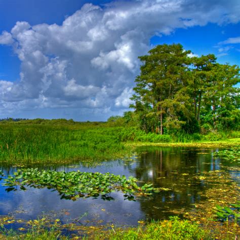 The Top 7 Things To Do in Florida for Nature Lovers in 2024 - Be ...