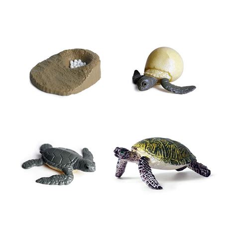 Buy Hiawbon Sea Animal Green Sea Turtle Growth Cycle Figurine Green Sea ...