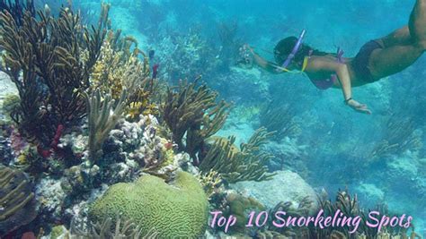 St John’s Top Snorkeling Spots : On-Island Times US Virgin Islands