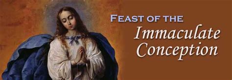 America Needs Fatima: Feast of the Immaculate Conception