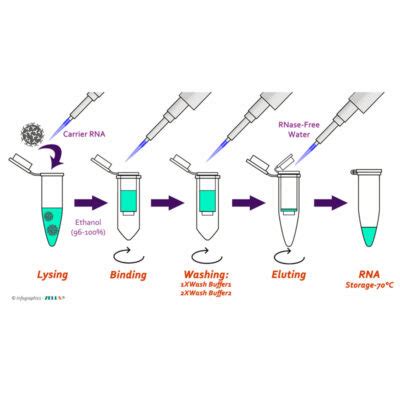 Viral RNA extraction Kit - ZellBio GmbH