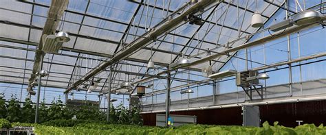 Greenhouse Lighting | GrowSpan