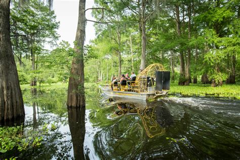 Must-Experience Louisiana Swamp Tours